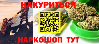 индика Моздок