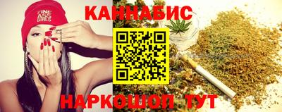 индика Моздок