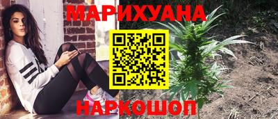 индика Моздок