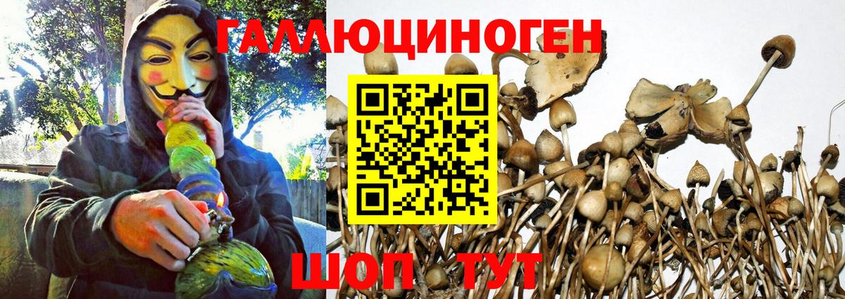 Псилоцибиновые грибы GOLDEN TEACHER  Вход с VPN  Удомля  Псилоцибиновые грибы мухоморы 
